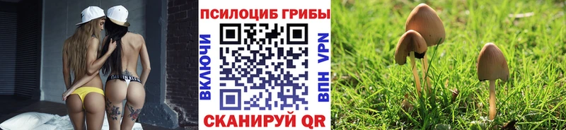 Псилоцибиновые грибы Psilocybine cubensis  Белоярский 